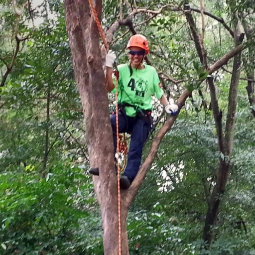 香港攀樹運動員張凱褀