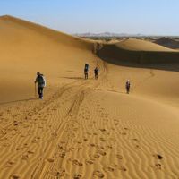 騰格里沙漠體驗